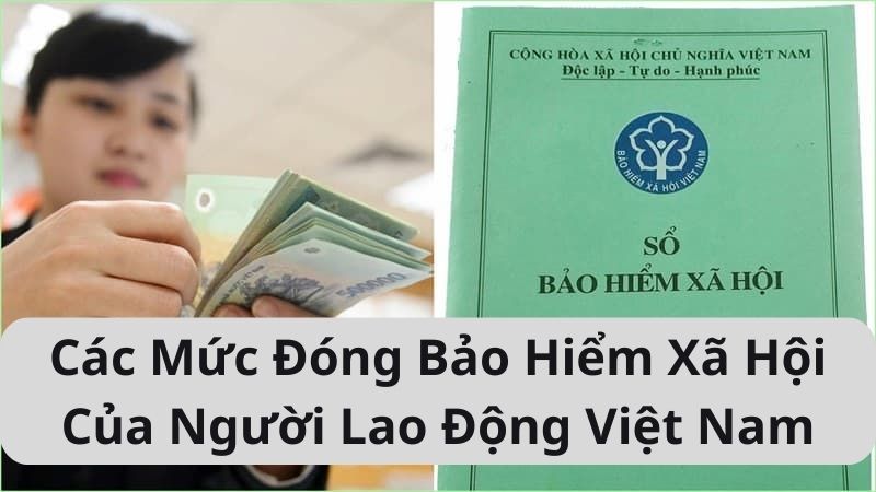 Các Mức Đóng Bảo Hiểm Xã Hội Của Người Lao Động Việt Nam