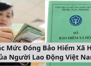 Các Mức Đóng Bảo Hiểm Xã Hội Của Người Lao Động Việt Nam