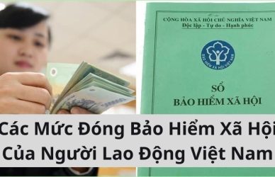 Các Mức Đóng Bảo Hiểm Xã Hội Của Người Lao Động Việt Nam