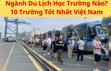 Ngành Du Lịch Học Trường Nào 10 Trường Tốt Nhất Việt Nam